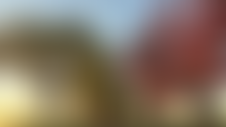 DE MOOISTE STRAAT IN RIEMST STAAT IN BLOEI