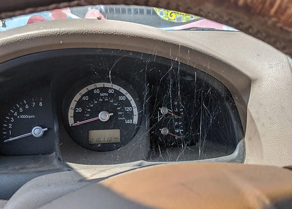 spider web in car