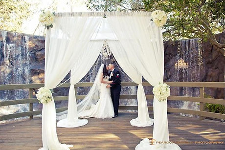 Metal Chuppah Frames $348 .jpeg