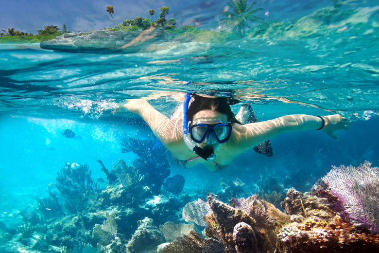 snorkeling alle hawaii