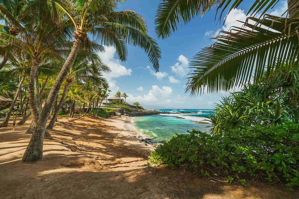 clima alle hawaii
