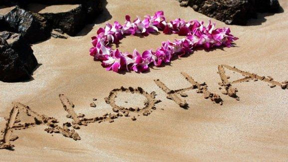 aloha hawaii escursioni