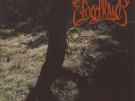 Elderflower EP Review