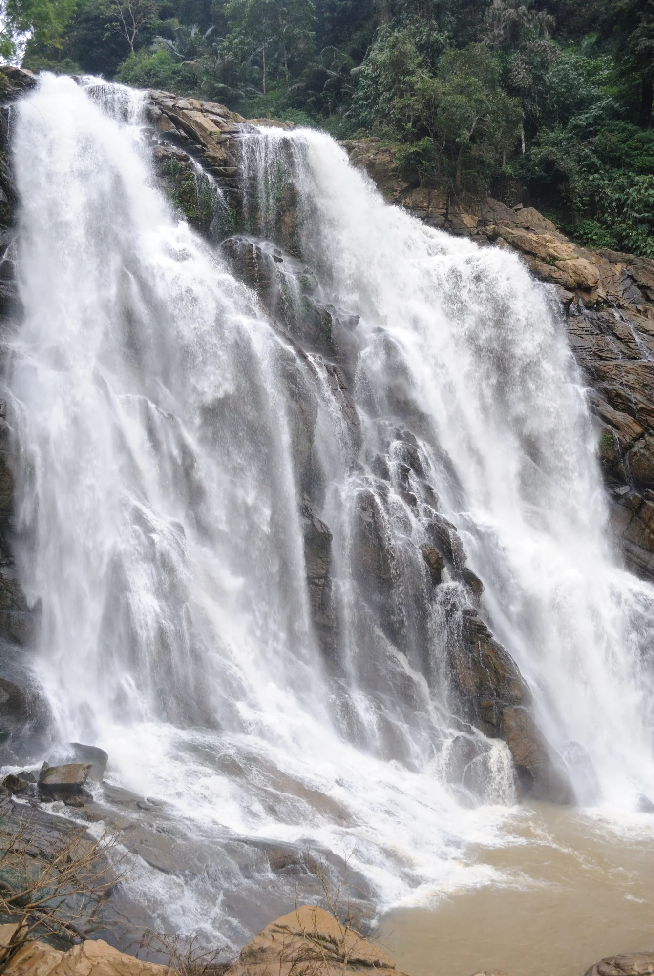 Meenmutty Waterfalls cascading through forest cliffs in Wayanad