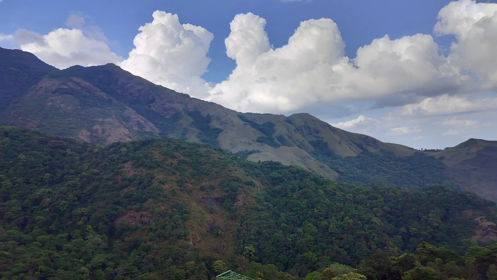 Lush mountain canopy and landscape at 900 Kandi in Wayanad