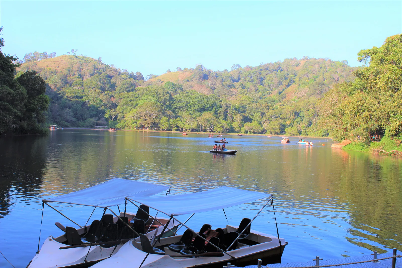 Pookode Lake surrounded by forest in Wayanad