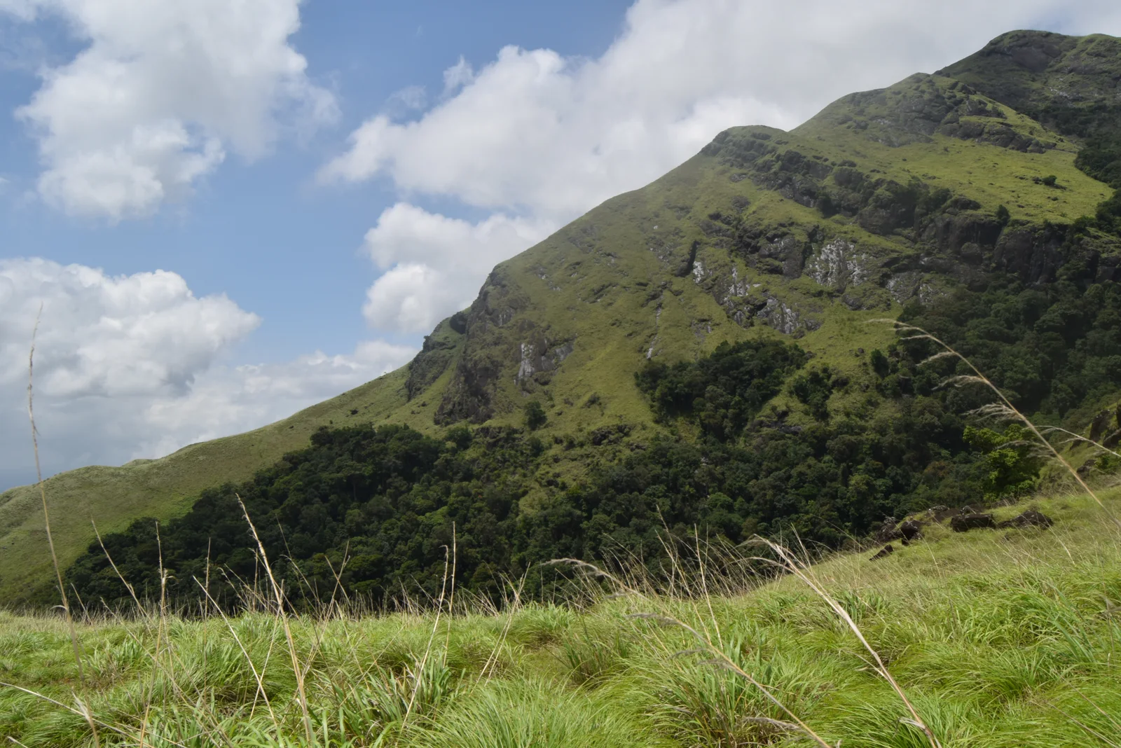 Chembra Peak in Wayanad, Kerala