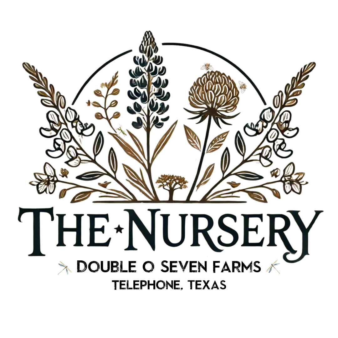 The Nursery (2).png