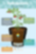 how-hydroponics-works.png