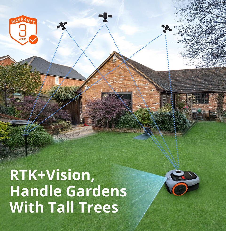 rtk vision.png