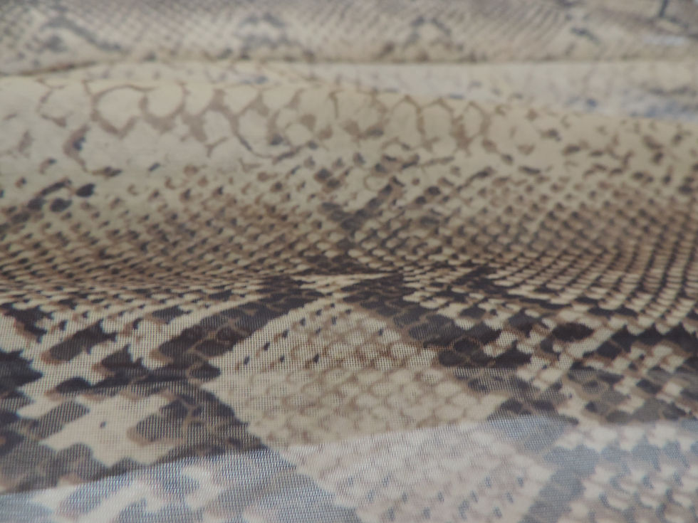 Thumbnail: See through Python Blouse