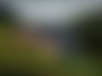 Neubau EFH Bichelsee