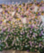 Bridgerton Flower Wall