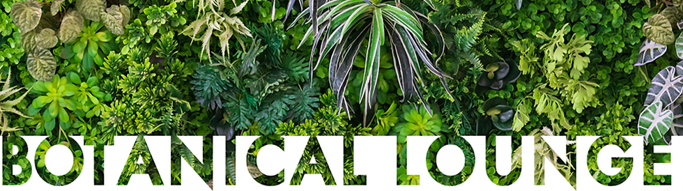 ヘッダー画像（小さめ）