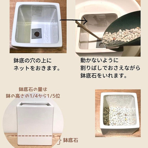 鉢底石（軽石）中粒 400ml | 観葉植物 ボタニカルラウンジ