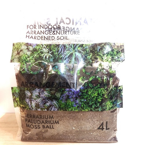 ボタニカルソイル・アレンジメント(4L) | 観葉植物 ボタニカルラウンジ