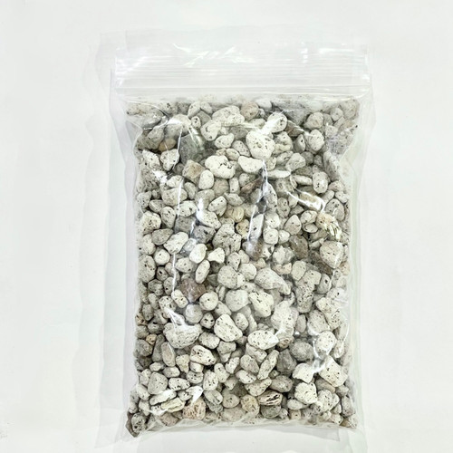 ウミノモリ軽石鉢 ウミノモリ様専門軽石鉢 ウミノモリ様専門軽石鉢