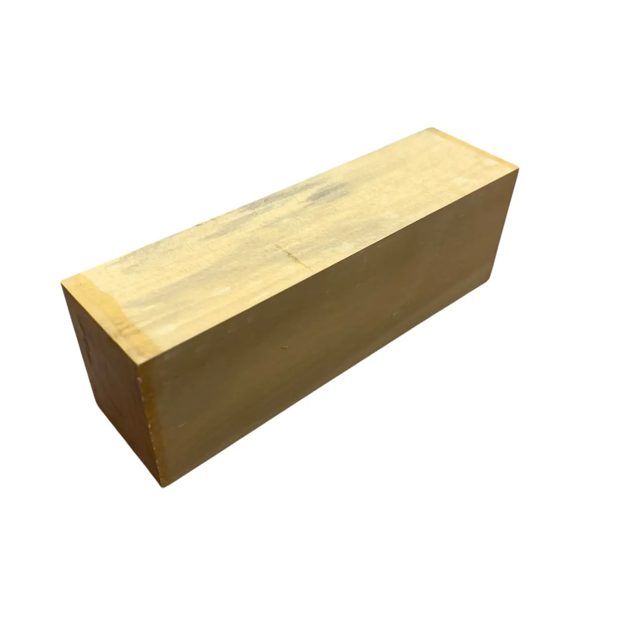 Bloc Buis des Andes (Gossypiospermum praecox) - 150x50x40mm