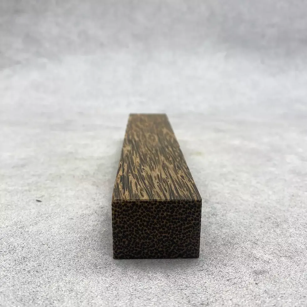 Ebauche de Palmier noir (Oenocarpus bataua) 200x37x27mm - #904