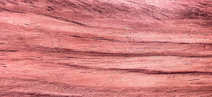 Capture d'écran 2024-10-04 104341_edited.jpg