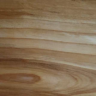 sorbier des oiseleurs