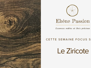Focus : Le bois de Ziricote
