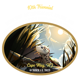 meeting_logo_DARK_cape_may_2025_transparentbackg.png