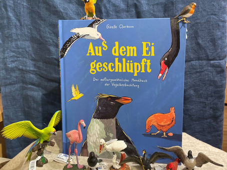 Buchtipp im Juni