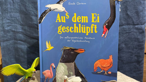 Buchtipp im Juni