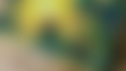 Spieletipp im Dezember