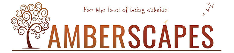 AMBERSCAPES RACK CARD BACK VERTICLE.jpg