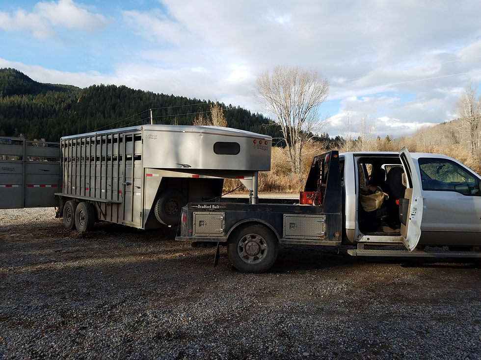 Transportation Type 1