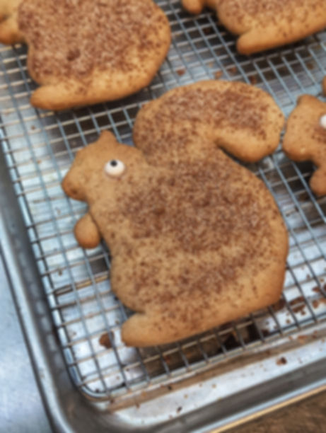 Snicker Doodle Squirrel Cookies