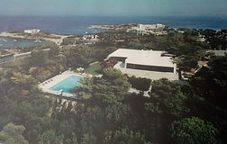 32776985_922036097978842_371225749083494