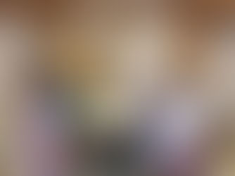 WESTERN NORTH DEVELOPMENT ASSOCIATION PAYS COURTESY CALL ON HON. DOMINIC GYASI