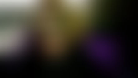 Lessons From The Joker