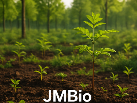 🌍 05 de Junho – Dia Mundial do Meio Ambiente: Cuidar do planeta é compromisso de todos