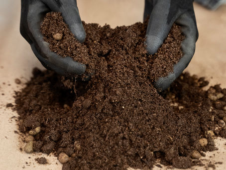 🌱 Compostagem: Transformando ResÃduos em Vida