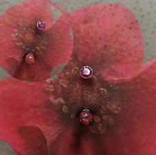 Christina with Custom Ordered Fire Gem Ends (Flower Overlay)