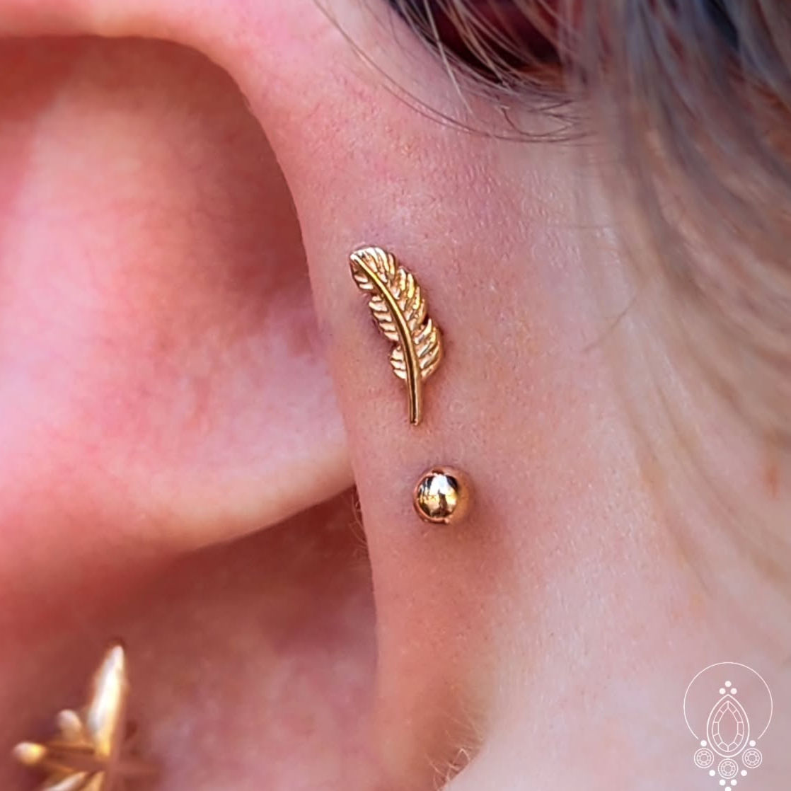 Double Forward Helix Piercings with Solid 14k Rose Gold Ends from BVLA