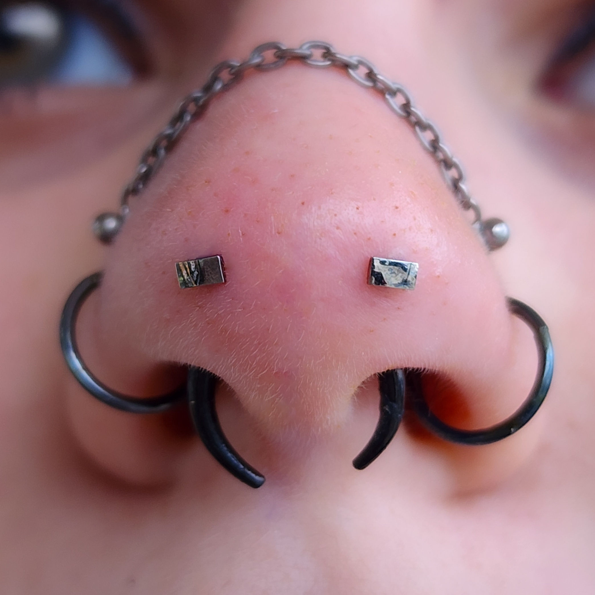 Forward Facing Nostrils "Mantis" Paired Nostril Piercings