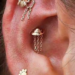 Mixed Rose Gold & Anodized Titanium Ear Curation