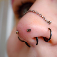 Mantis Piercings (Left Side View) with Rectangular Ends from Neometal