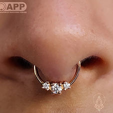 Septum with Yellow Gold Cari Ring from Alchemy Adornment