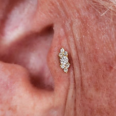 Rose Gold Tragus w/ BVLA