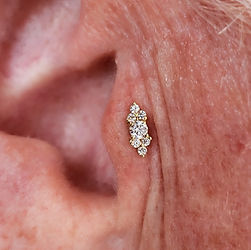 Rose Gold Tragus w/ BVLA