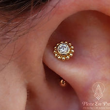 Yellow Gold Beaded Raine End in Rook Piercing