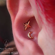 Double Conch with Solid 14k Rose Gold from Alchemy