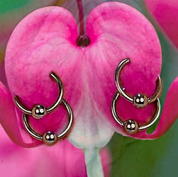 Inner Labia Piercings (x4) with Flower Overlay