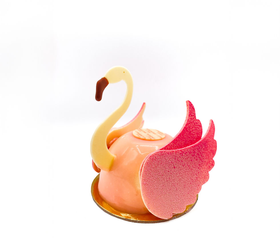 IMG_1822-6 - Flamingo For the website.jpg